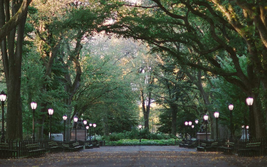 Walking In New York